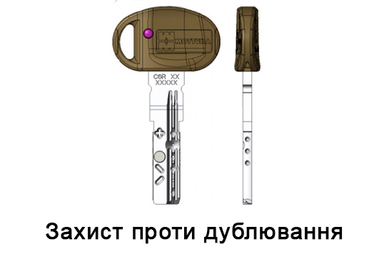 Захист проти дублювання
