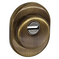 Протектор AZZI FAUSTO F23 ANT з юбкою 25 мм бронза