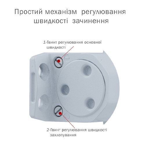 Дотягувач RYOBI DS-1504 STD HO з фіксацією до 80кг Сірий - Фото №6
