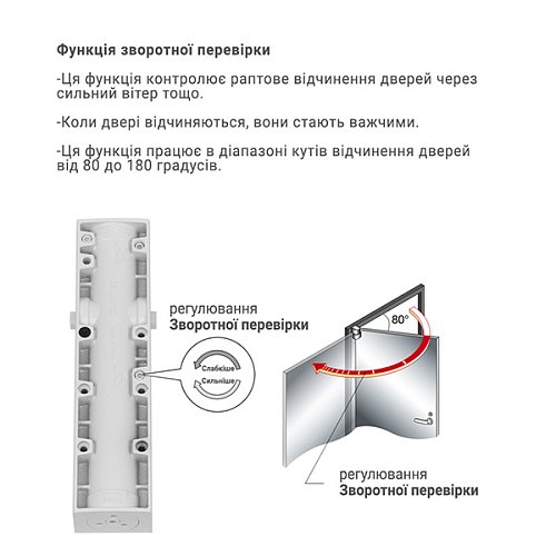 Дотягувач RYOBI D-3200T BC SLD HO з фіксацією до 80кг Білий - Фото №6