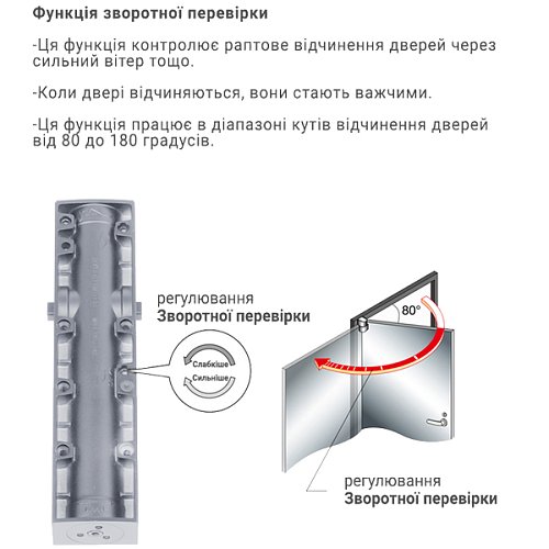 Дотягувач RYOBI D-3200T BC SLD HO з фіксацією до 80кг Сірий - Фото №6
