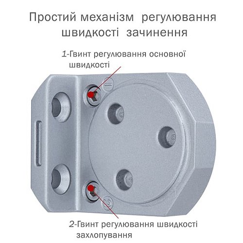 Дотягувач RYOBI DS-3550T BC/DA SLD HO з фіксацією до 60кг Сірий - Фото №7
